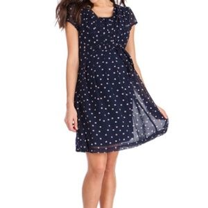 Seraphine Maternity & Nursing Navy Polka Dot Dress